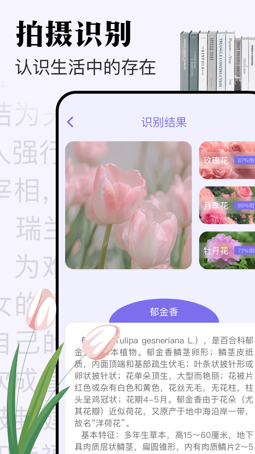 米禾 1.13 最新版 2