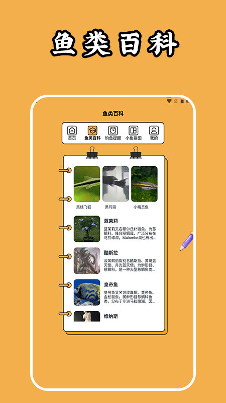 钓鱼人生大师 1.1 最新版 1