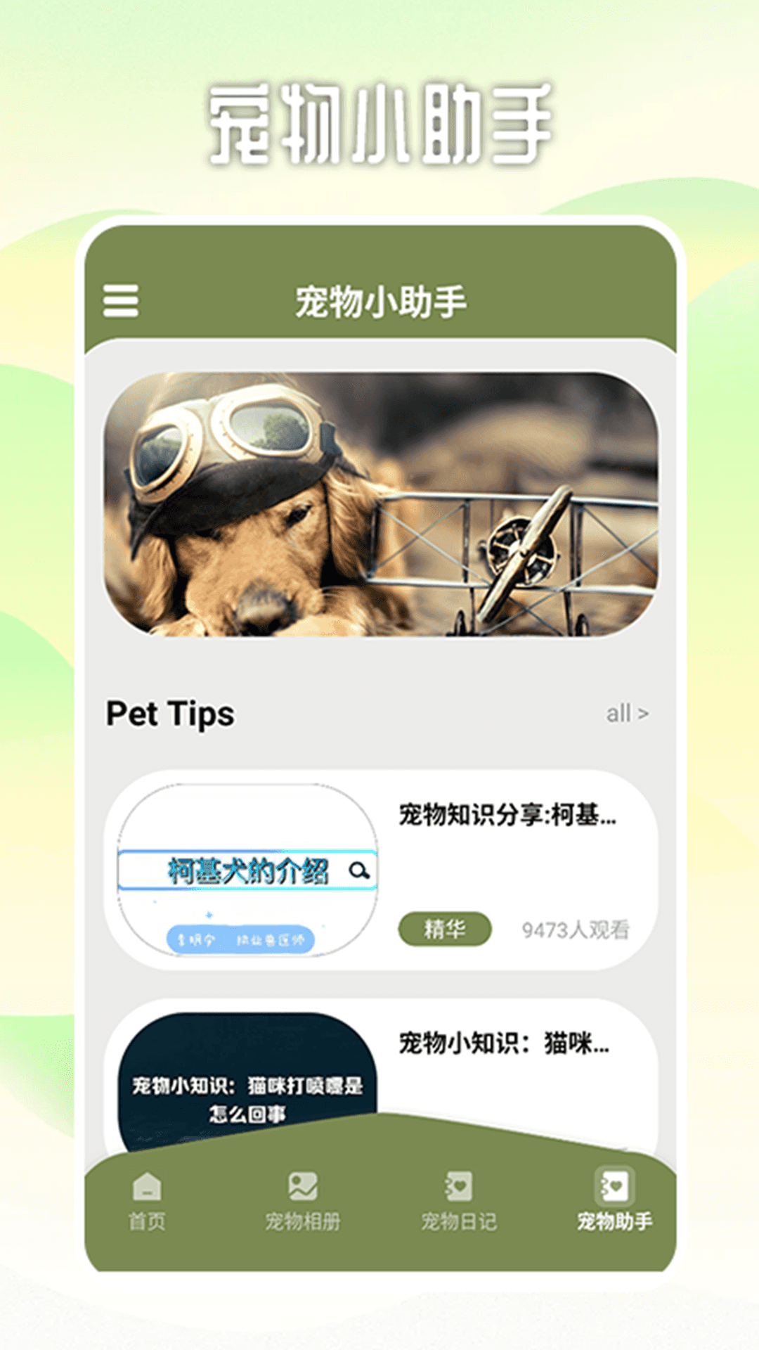 爱游猫助手 1.2 最新版 3