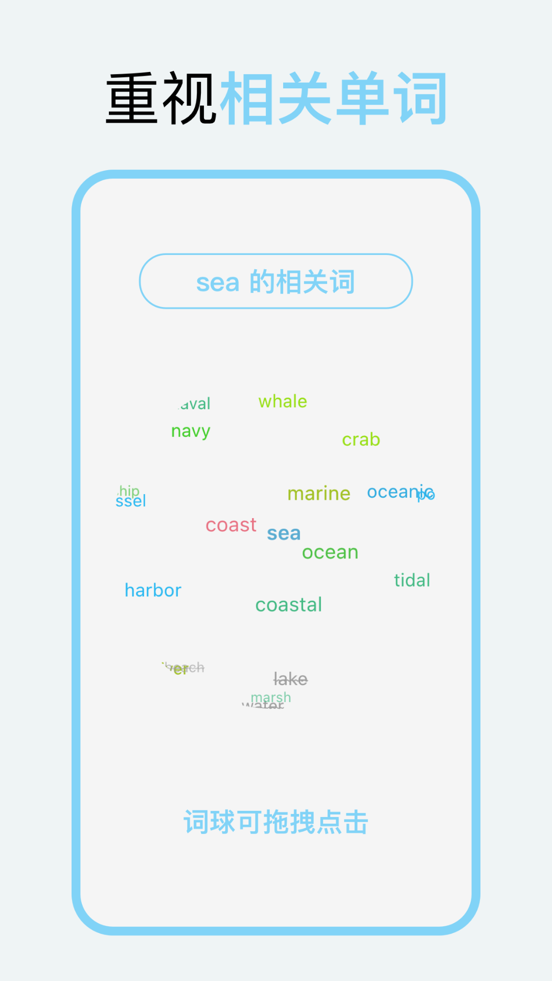 向量单词 1.2.2 最新版 2