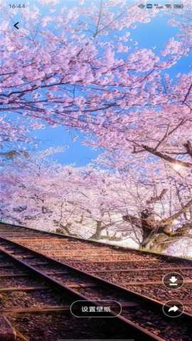 CP恋爱 1.0.3 最新版 3