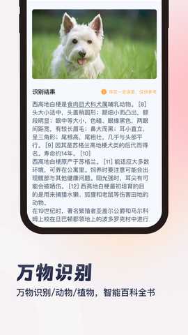 墨茉扫描 V1.0.3 最新版 2