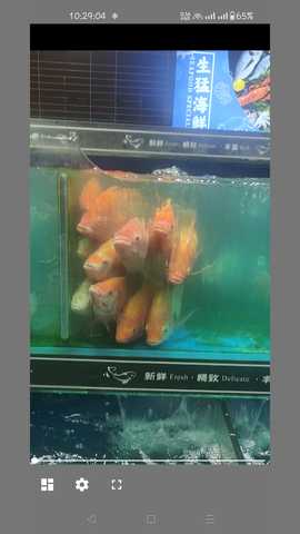 卡片看图 1.0 最新版 1