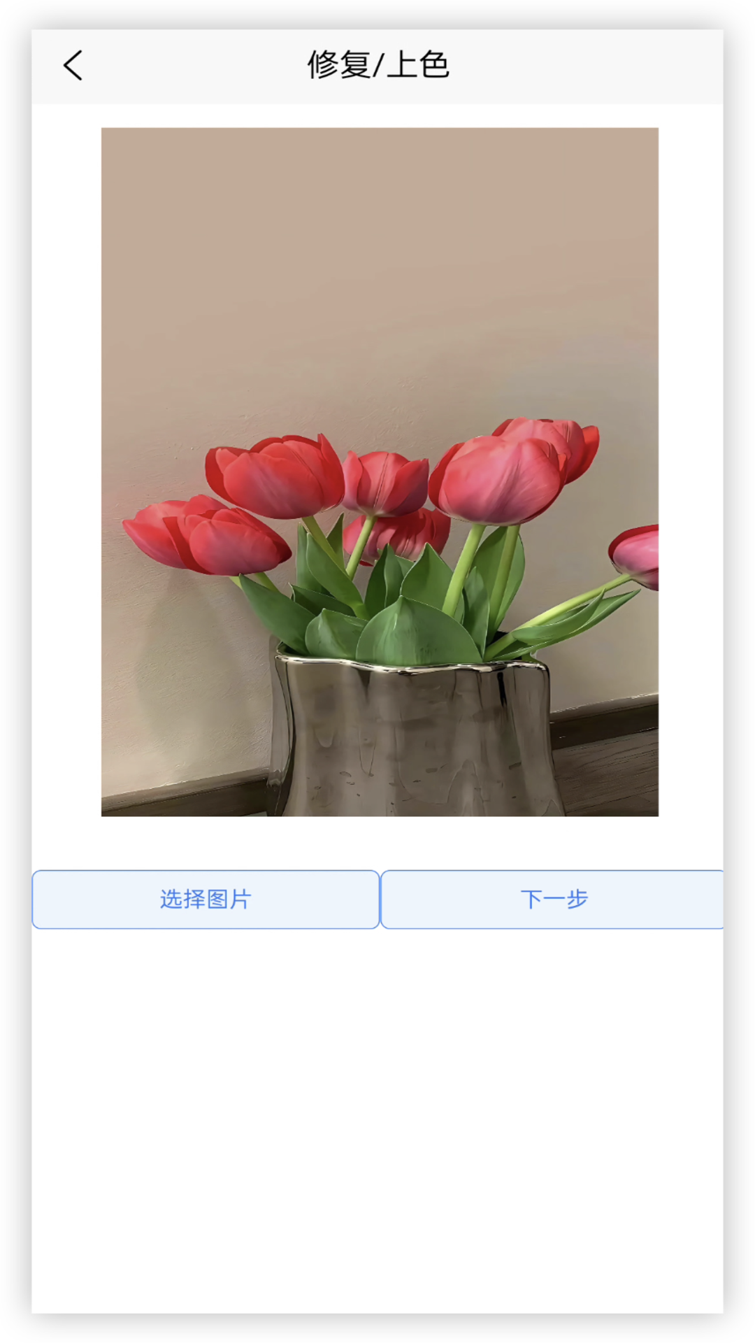 年龄相机 1.0.1 最新版 2