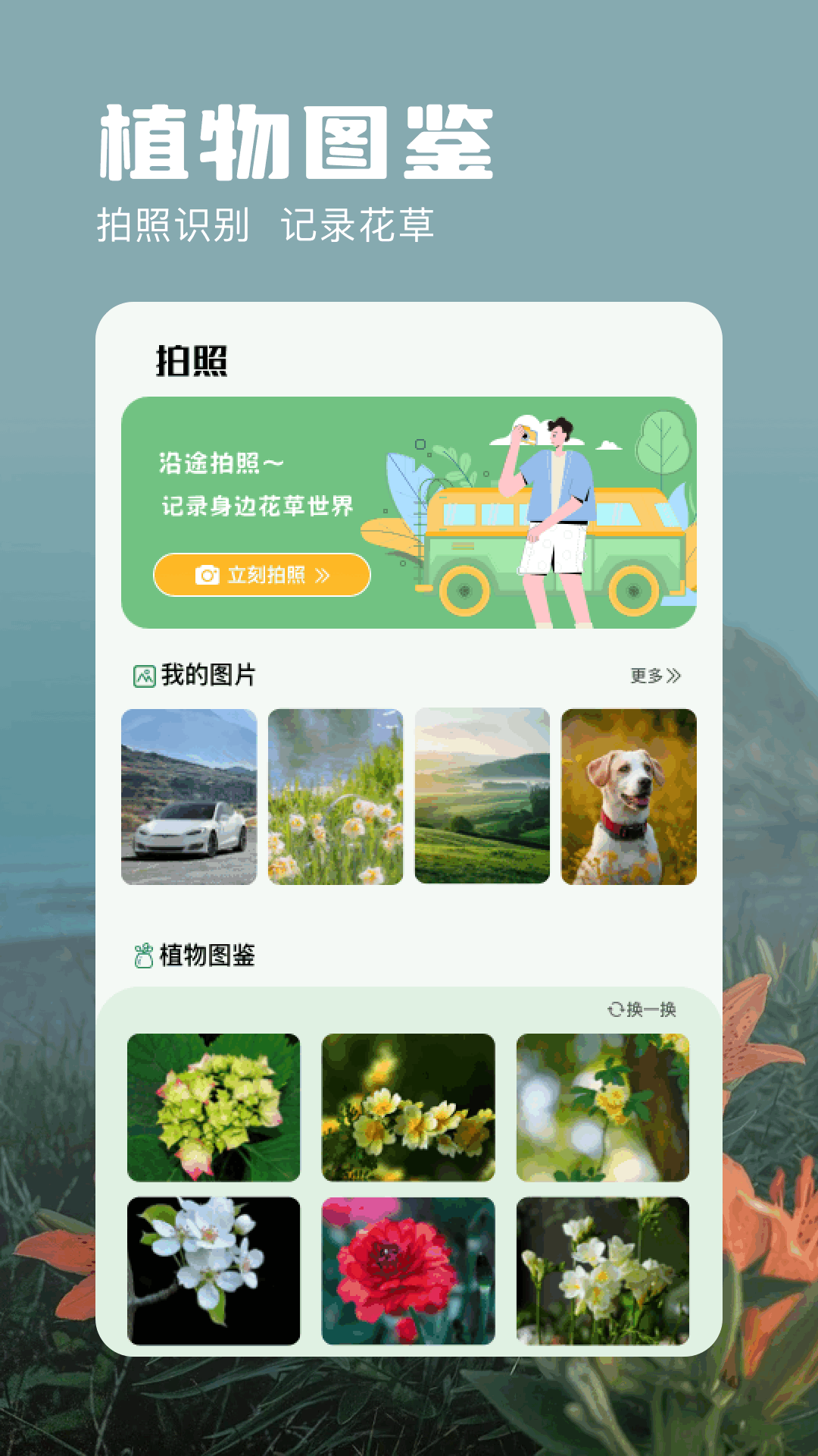 万能识别 1.2 最新版 2