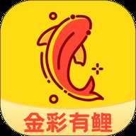 金彩有鲤