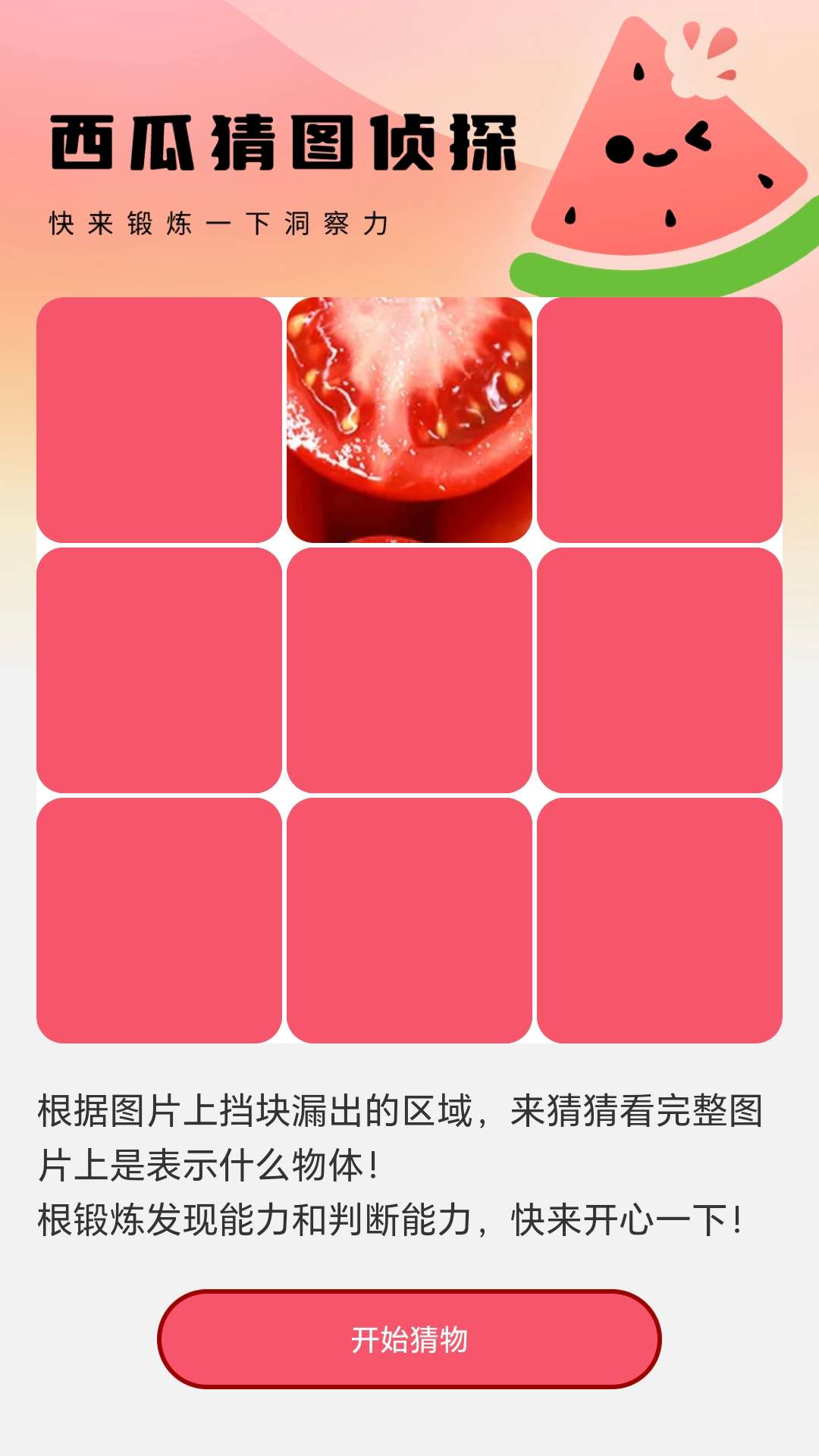 西瓜壁纸助手 1.0.1 最新版 2