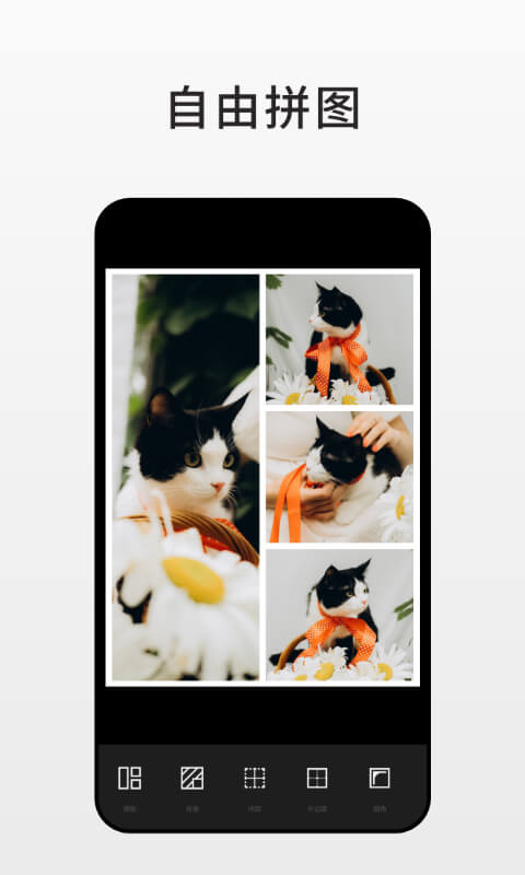 Fotor 7.4.4.1136 最新版 3
