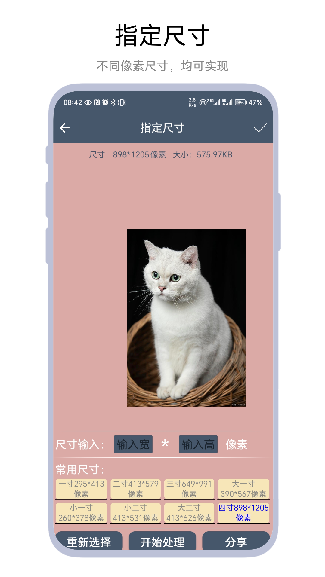 极速抠图 V1.0.1 最新版 2