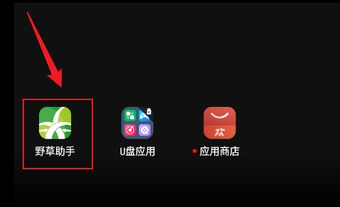 野草助手U盘应用口令下载-野草助手U盘应用小米电视下载最新版v1.3