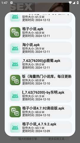 蓝奏搜索 v2.0.0 最新版 3
