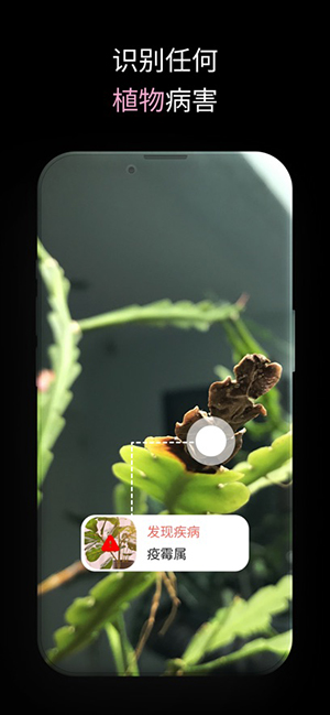 PlantIn 2.26.0 安卓版 0