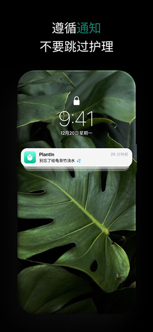 PlantIn 2.26.0 安卓版 2