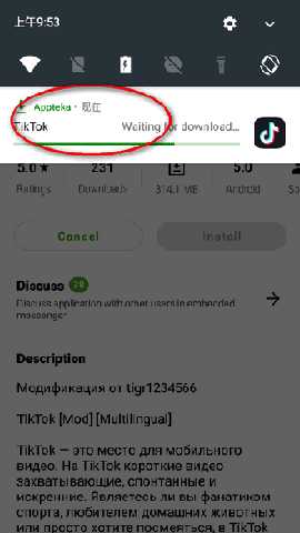 Appteka国际版官方下载最新版-Appteka应用商店中文版apk下载汉化版v16.0