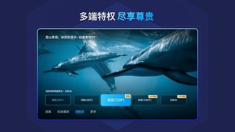百度网盘TV版 1.21.1 官方客户端 2