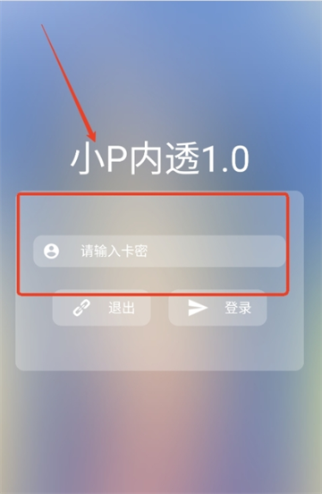 小P内透1.0 1.0 安卓版 0
