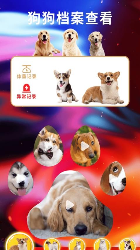 遇见我的猫翻 v1.3 安卓版 2