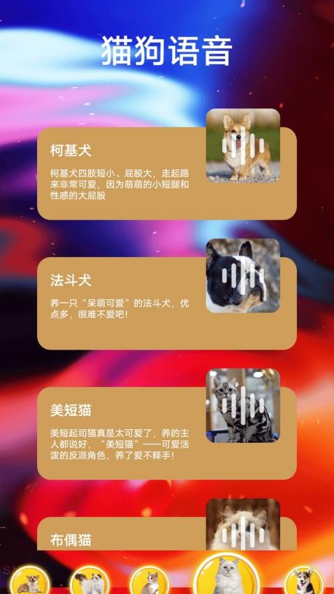 遇见我的猫翻 v1.3 安卓版 1