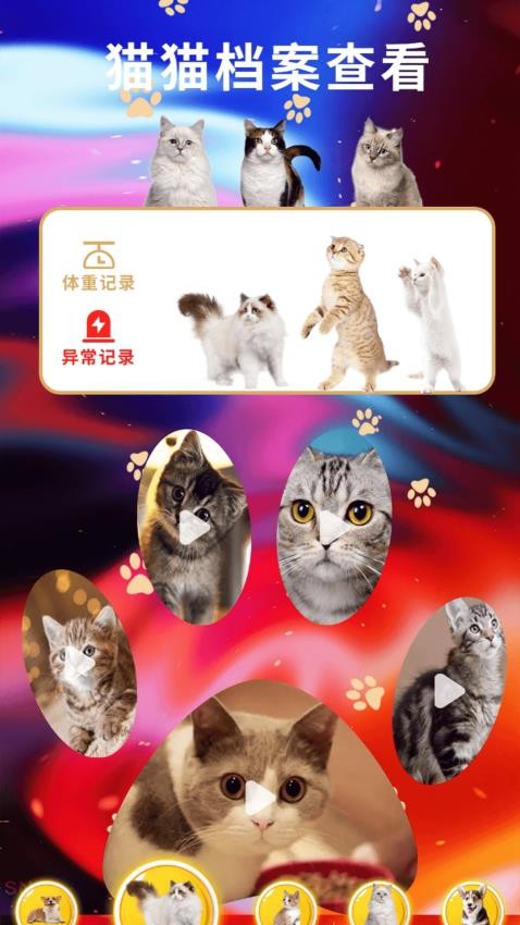 遇见我的猫翻 v1.3 安卓版 3