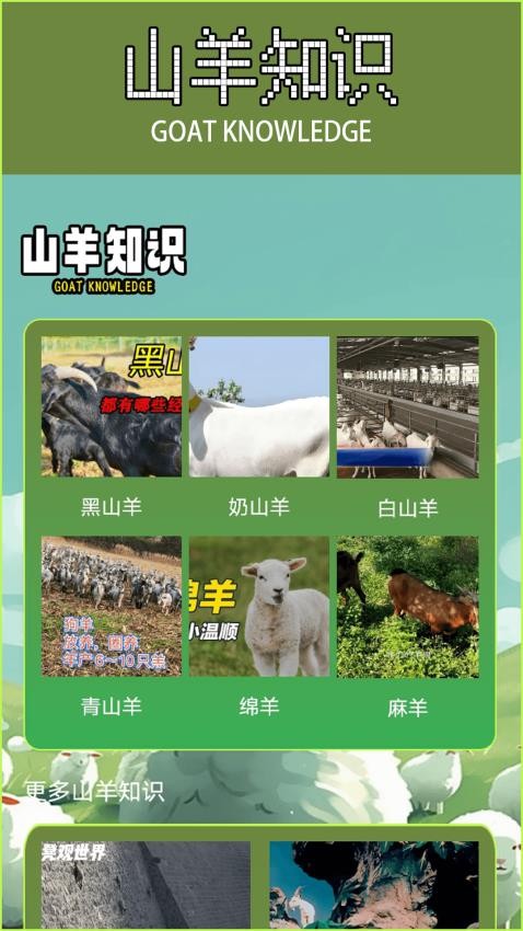 模懝山羊 v1.1 安卓版 2