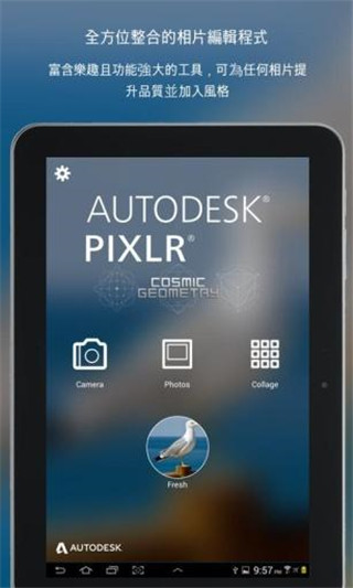 pixlrexpress 3.6.8 安卓版 4
