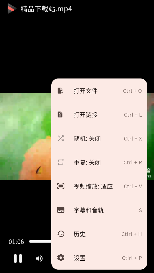 Iris v1.3.3 最新版 0