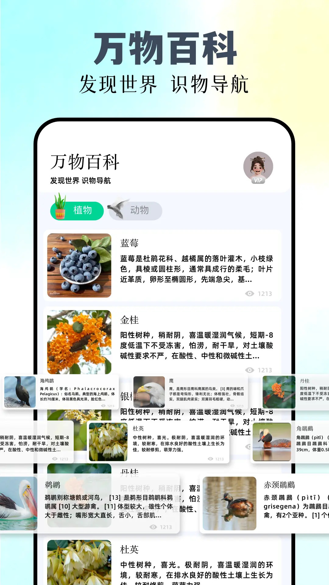识万物 1.11 最新版 1