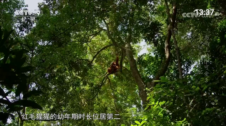 宝盒爱看 v250116 官方版 3