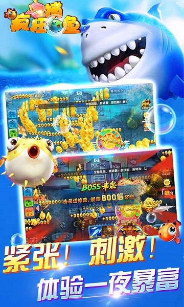 鱼丸疯狂捕鱼九游版 10.1.39.1.0 安卓版 1