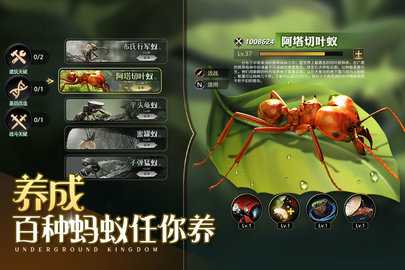 小小蚁国免费版 1.90.0 最新版 2