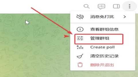 纸飞机国外聊天