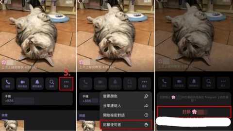 纸飞机国外聊天