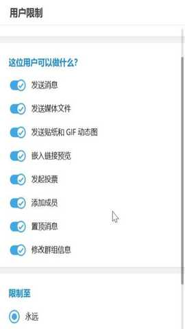纸飞机国外聊天