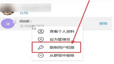纸飞机国外聊天