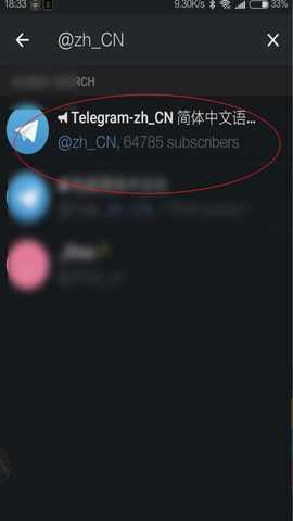 纸飞机国外聊天