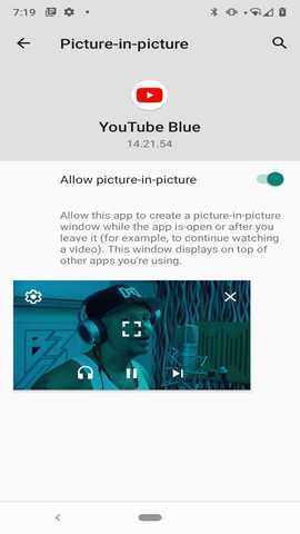YouTubeBlue 16.16.38 官方版 3