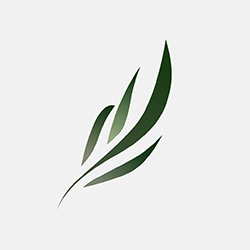 东南小说app下载安装正式版-东南小说app官方最新版本