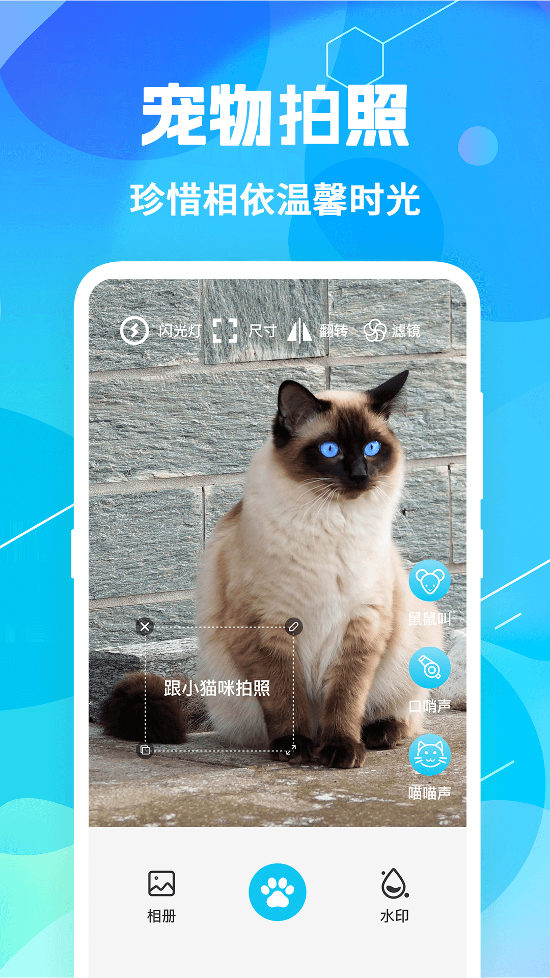 猫语翻译pet 7.1.7131 最新版 2