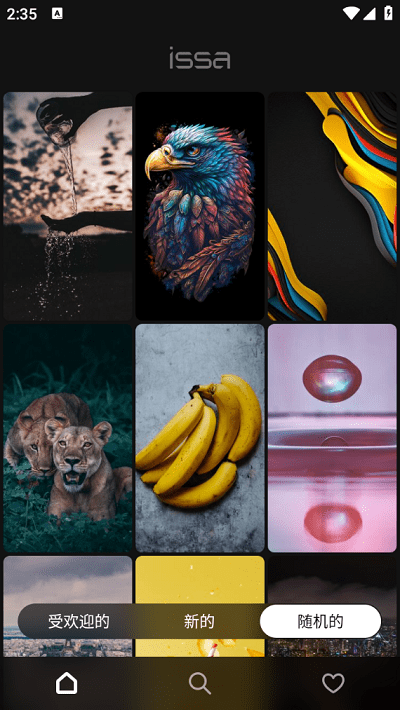 issa v1.2.0 最新版 2