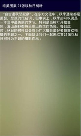 图形天下 1.2 安卓版 2
