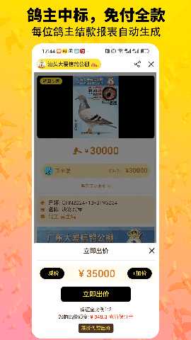 鸽手 3.8.4 安卓版 3