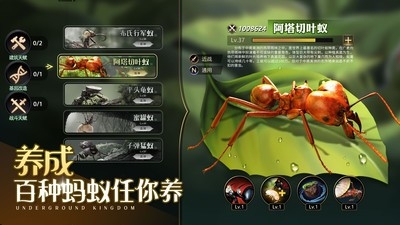 小小蚁国37小米版 1.9.0 安卓版 2