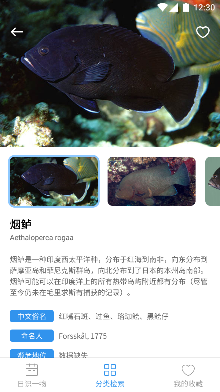 奇妙海洋 1.0 安卓版 2