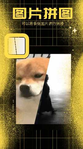 百变熊猫 1.3 安卓版 2