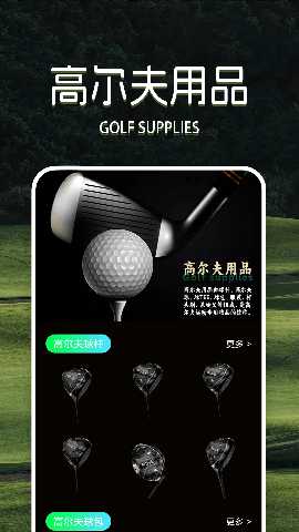 疯狂高尔夫 1.3 安卓版 1