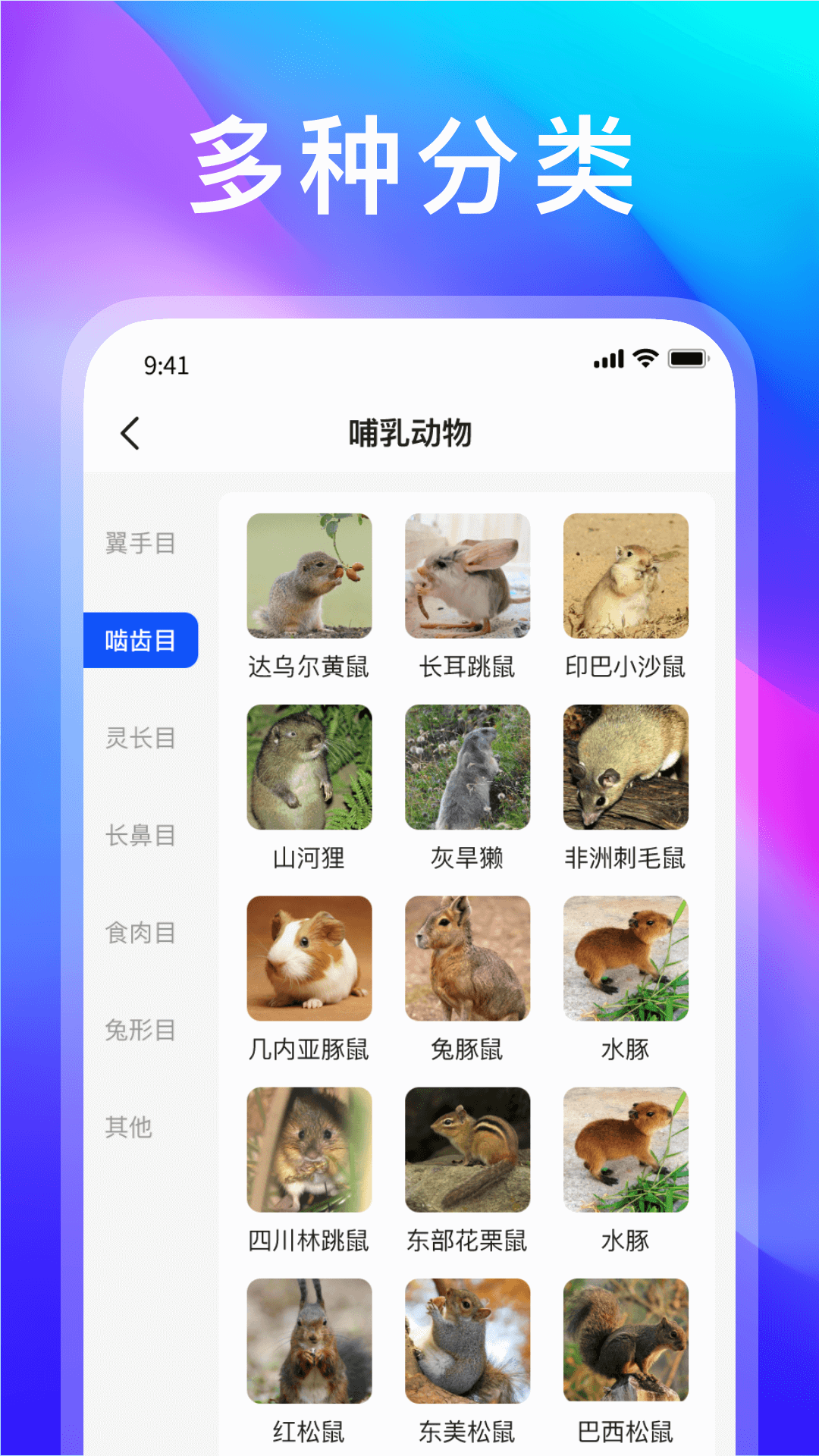 动物世界 1.1.3 安卓版 1