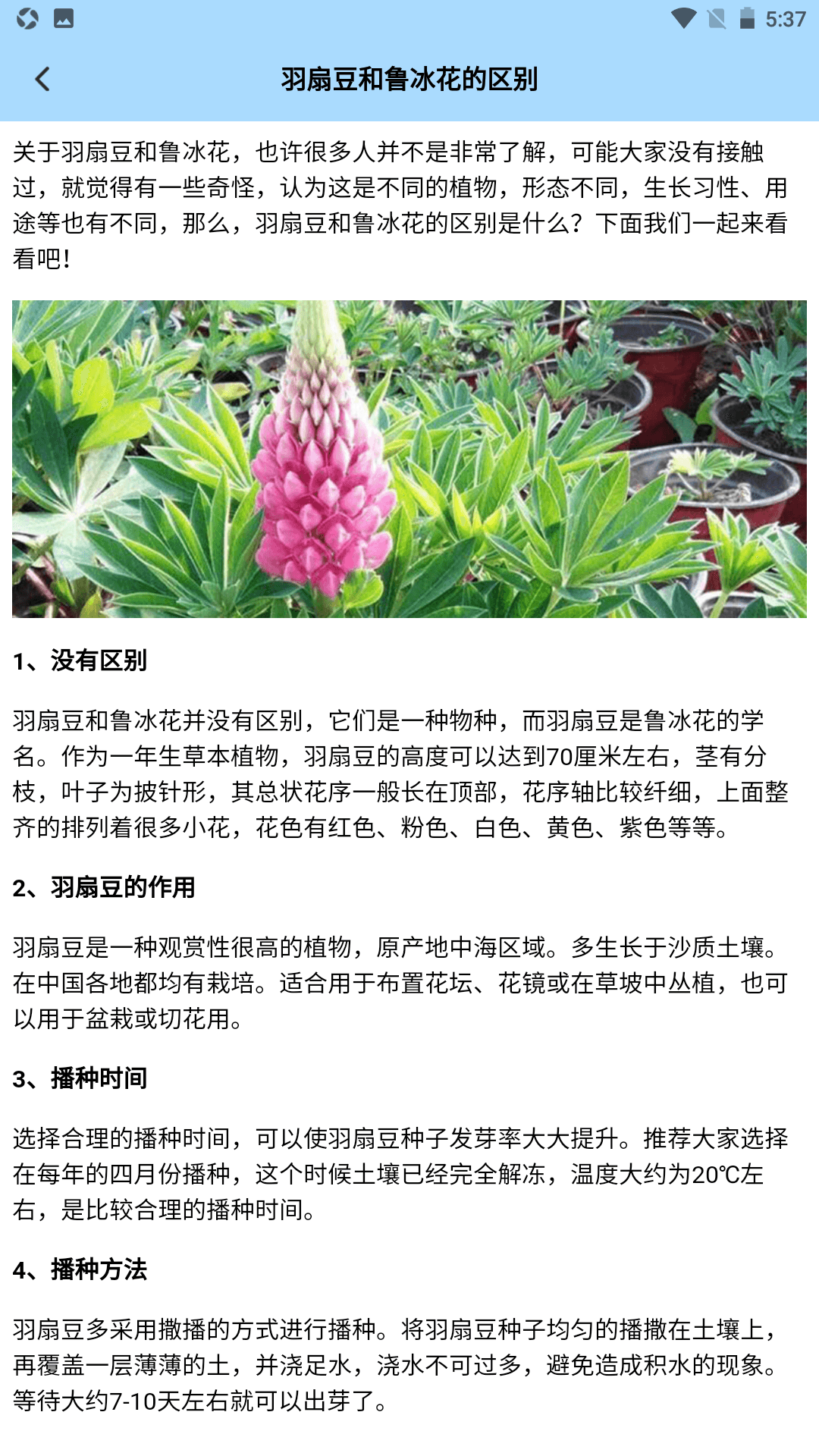 我要开花店 1.3 安卓版 3