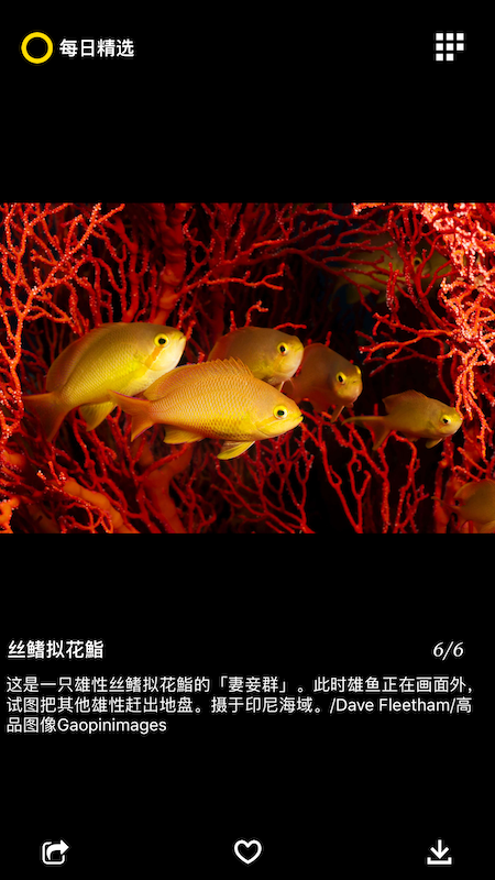 每日精选 2.6.3 安卓版 4