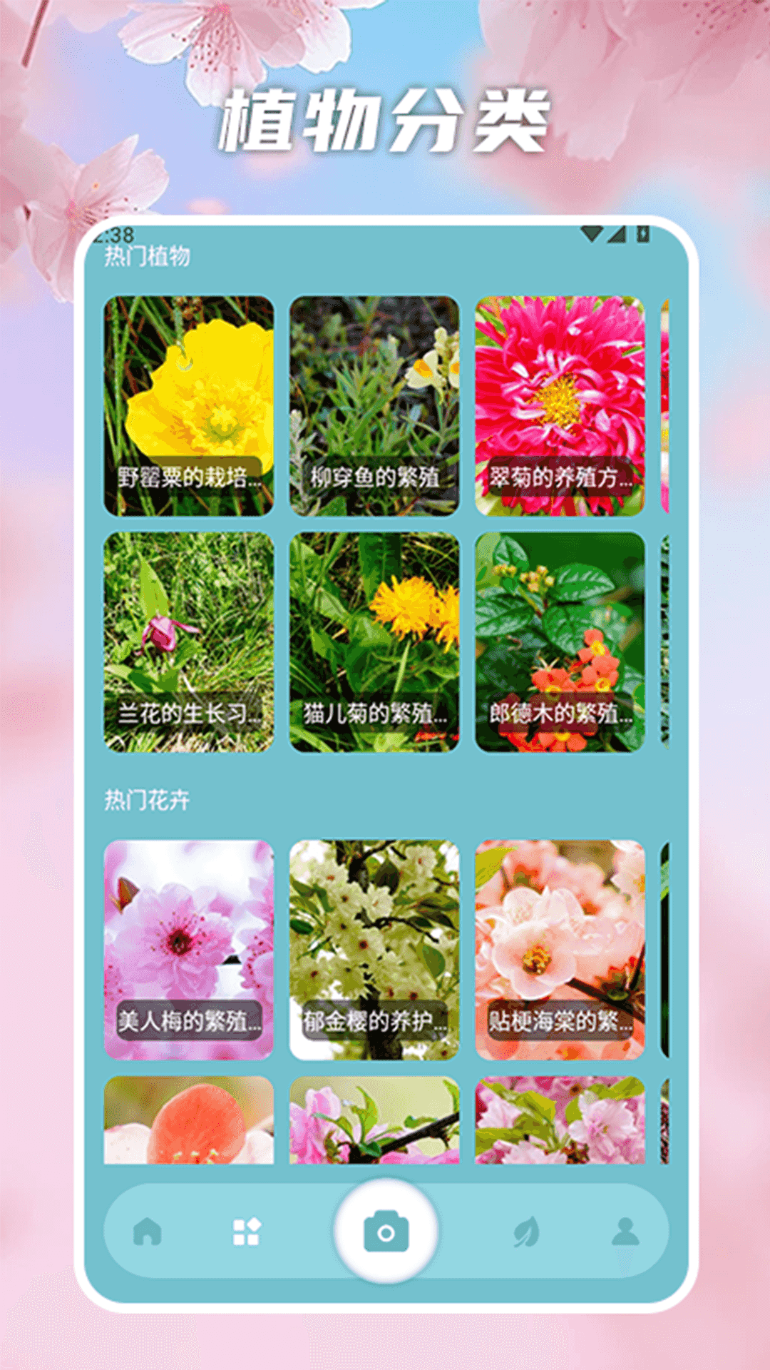 花开物语识别 1.3 安卓版 1