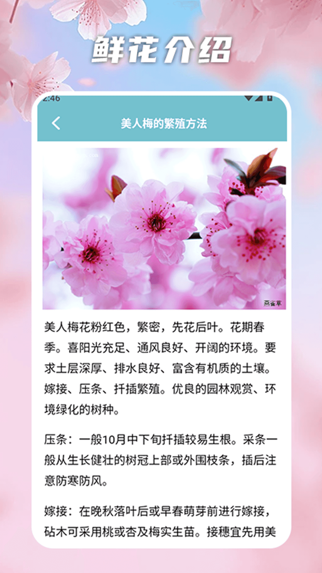 花开物语识别 1.3 安卓版 3